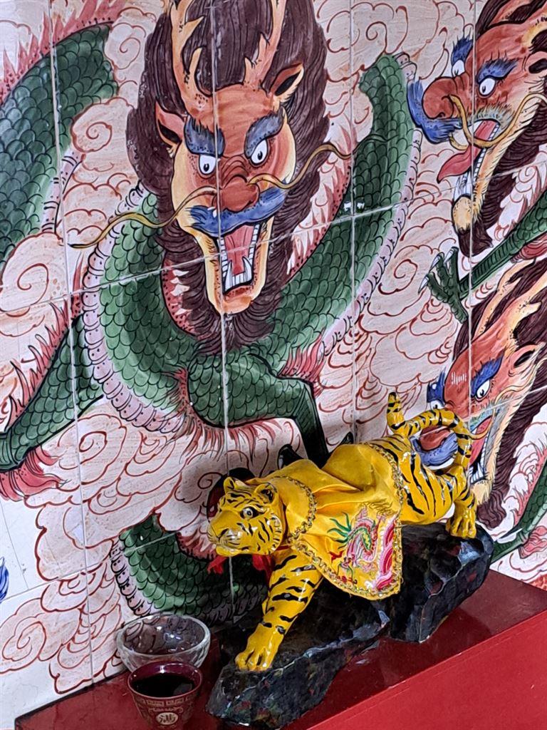 tiger