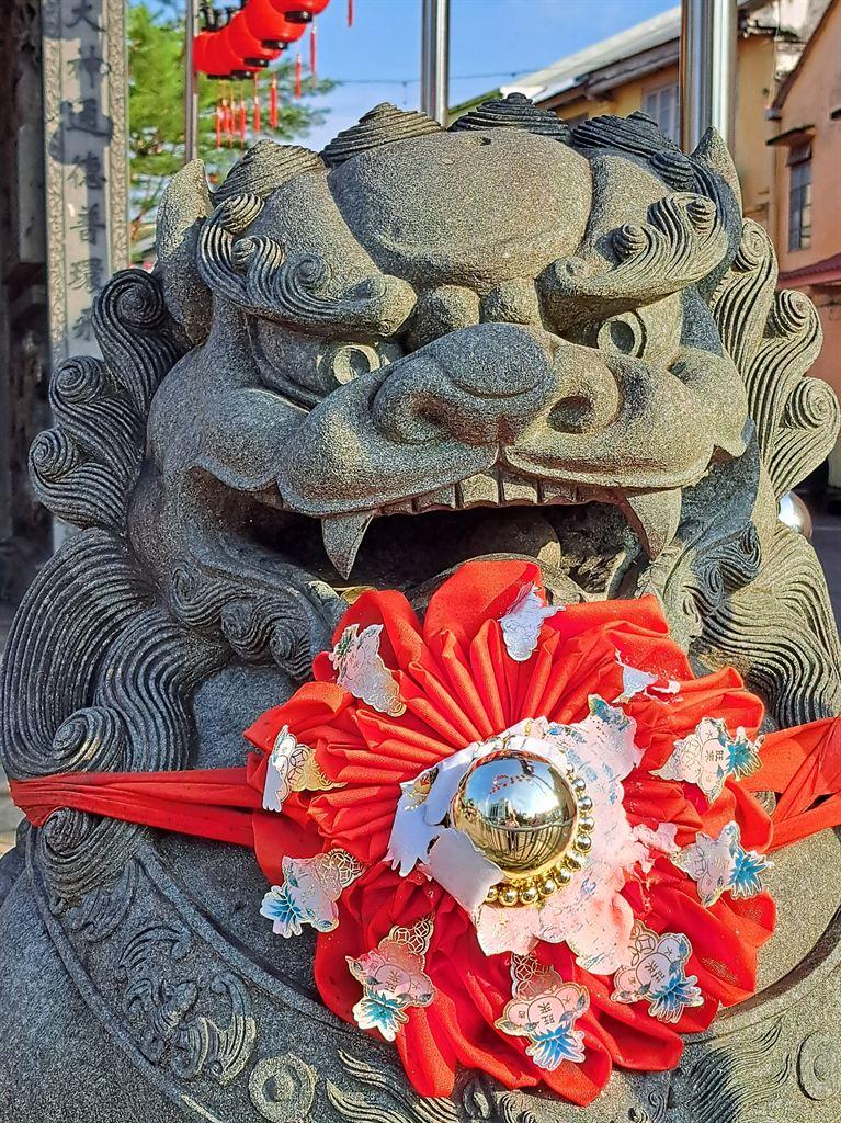 lion