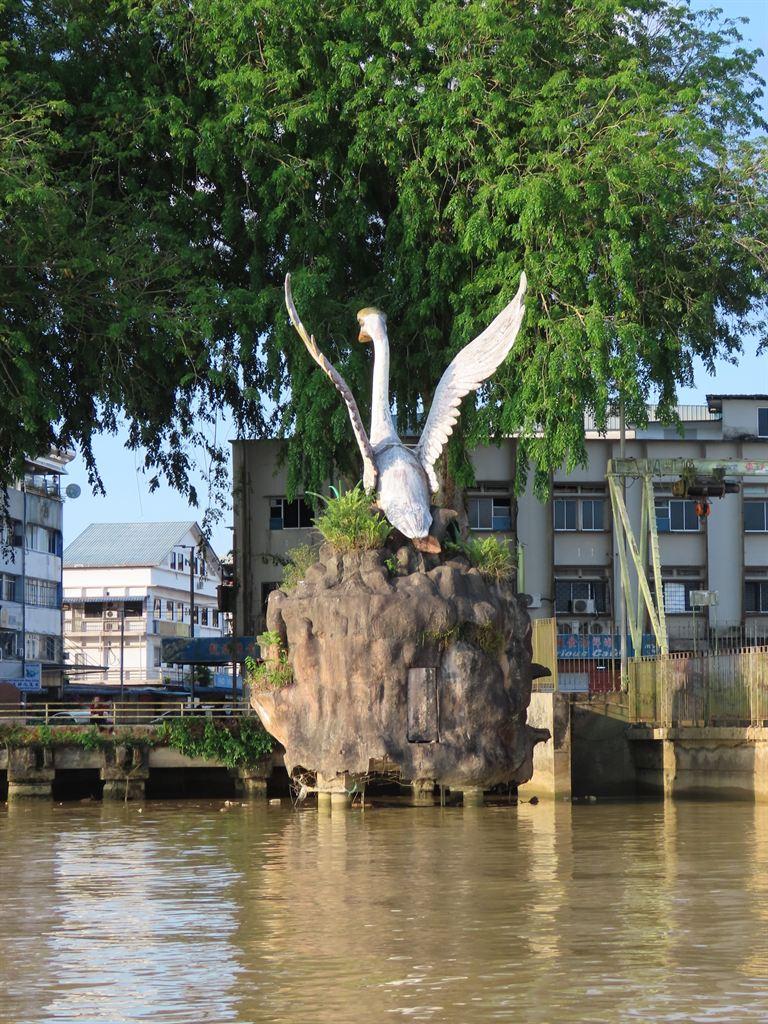 swan