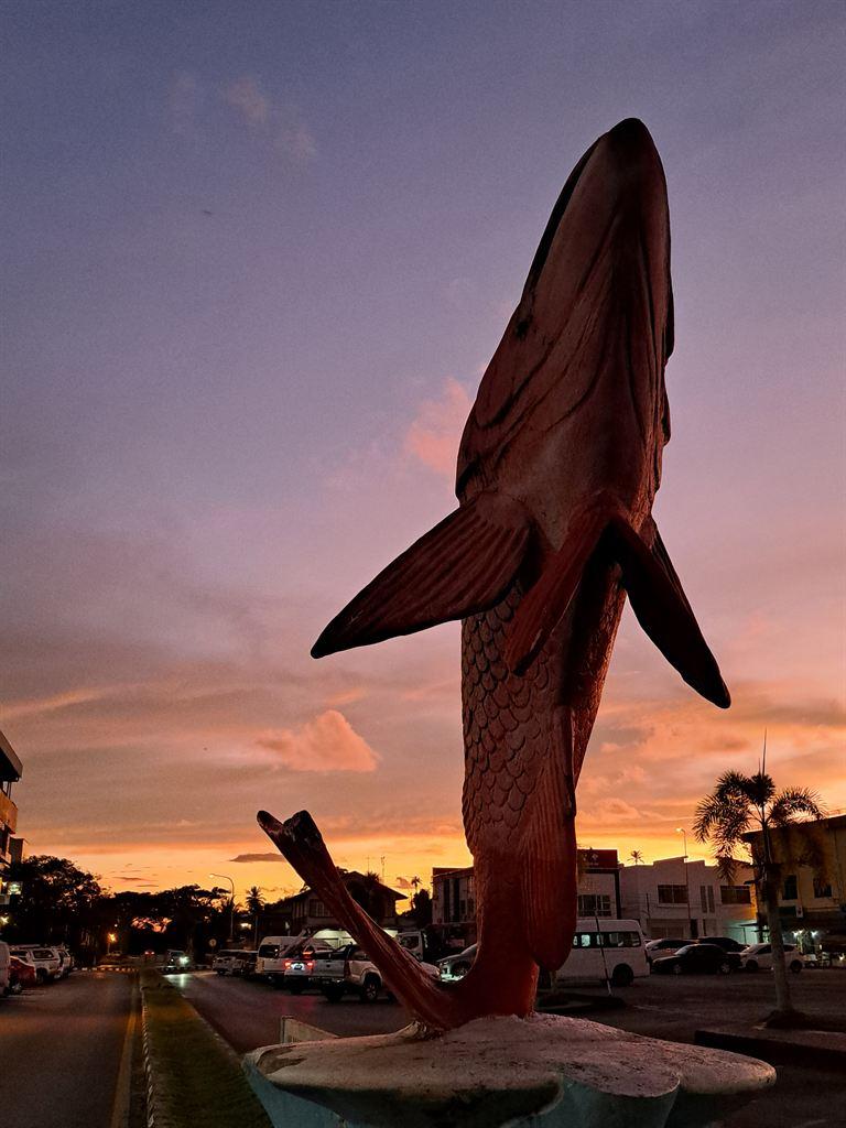 dolphin