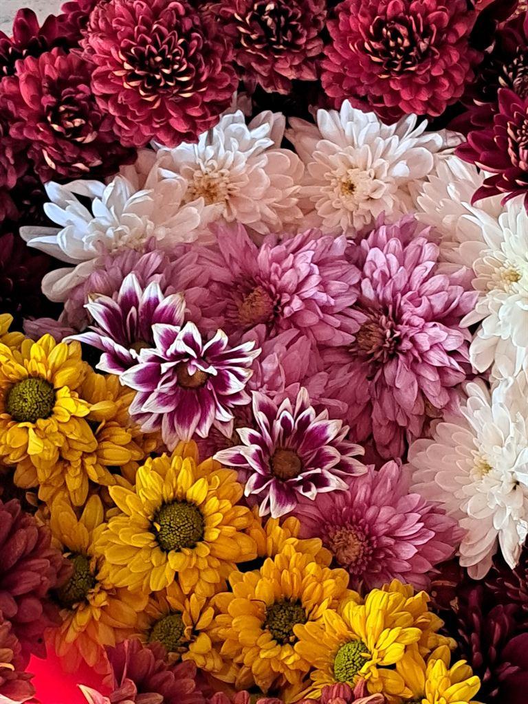 flowers