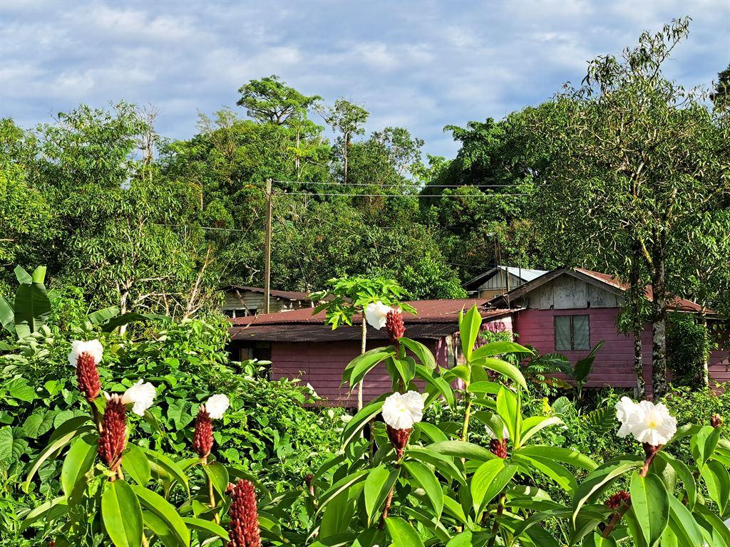 woodenhouse