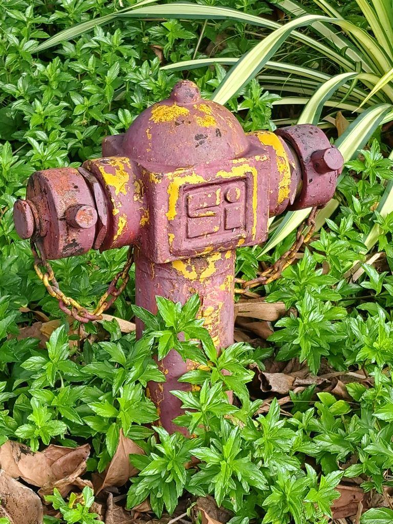 hydrant