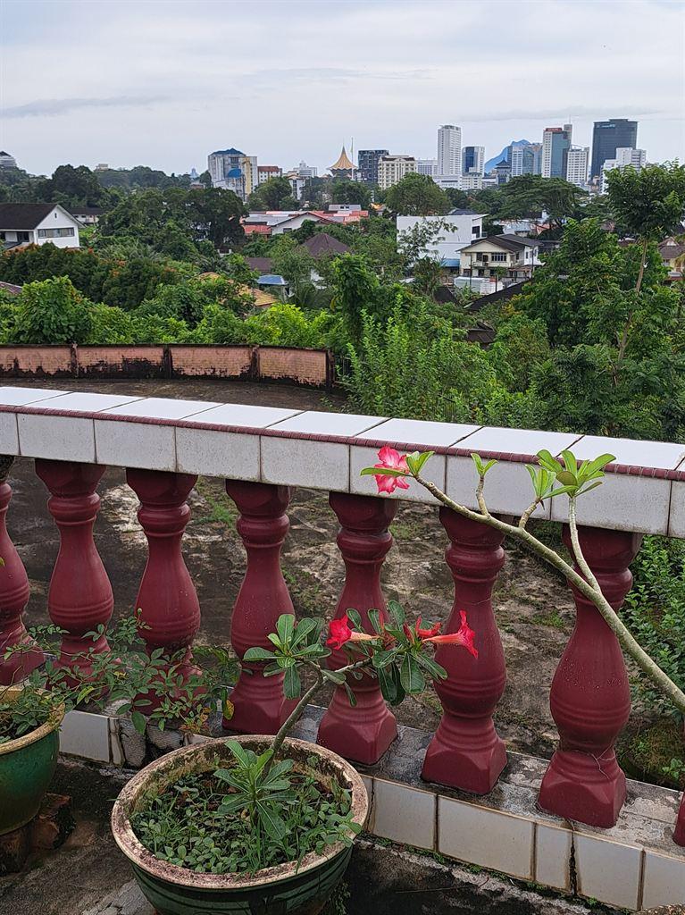 view