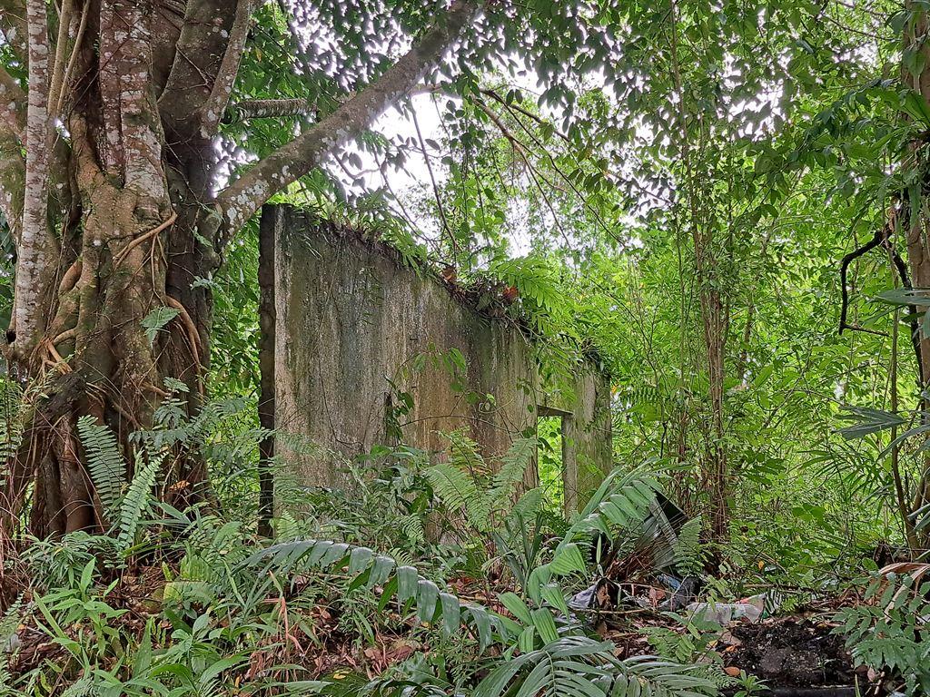 ruin