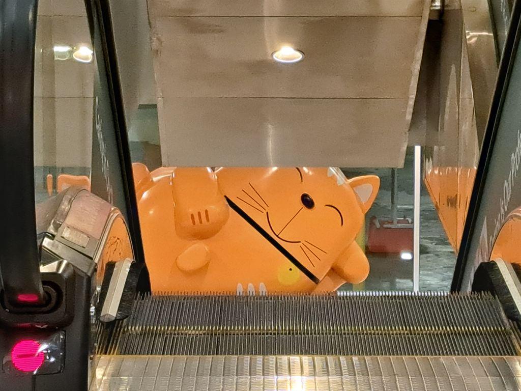 aeoncat