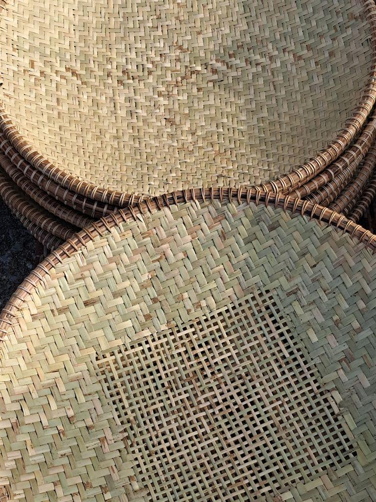trays