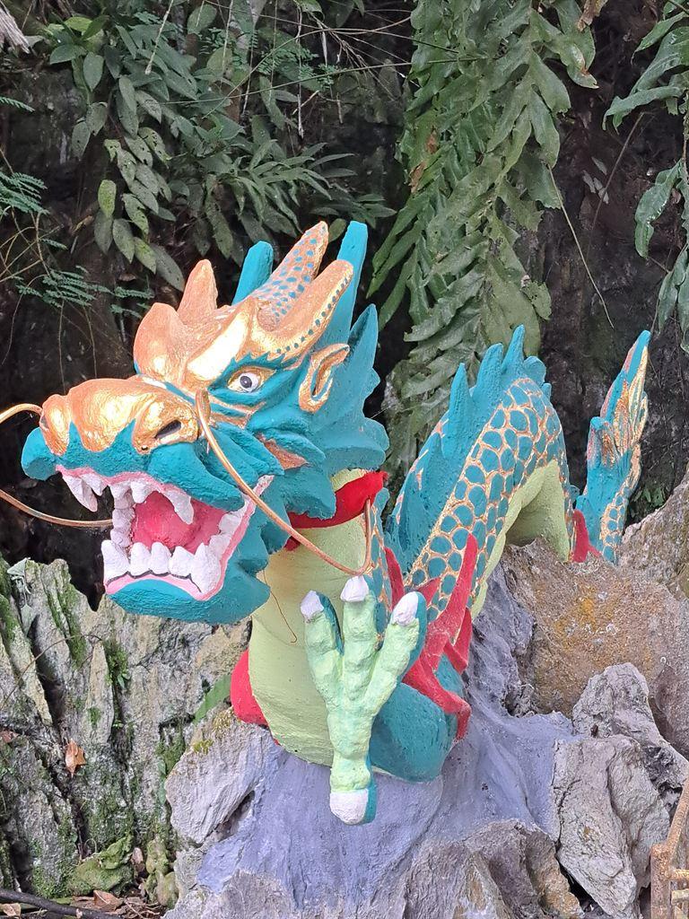 dragon