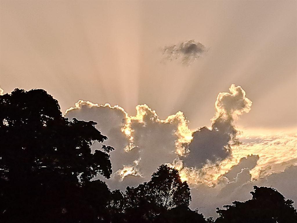 sunburst