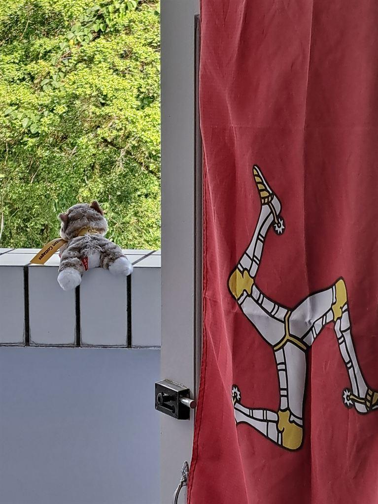 flag