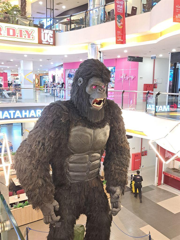 gorilla