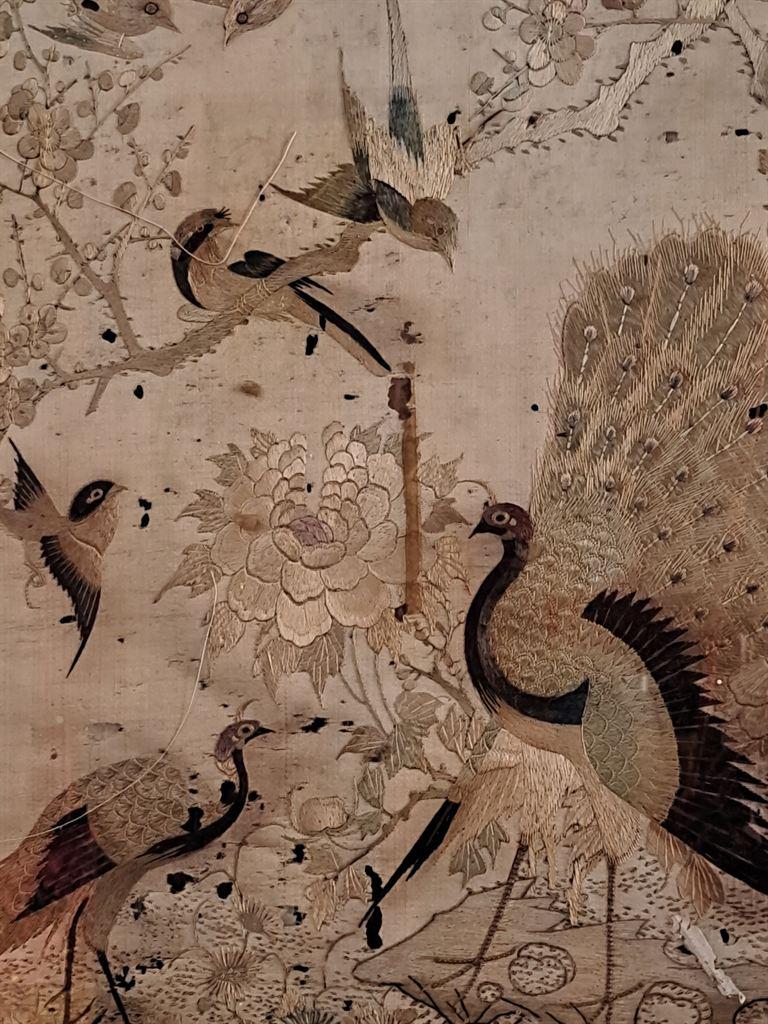 peacocks