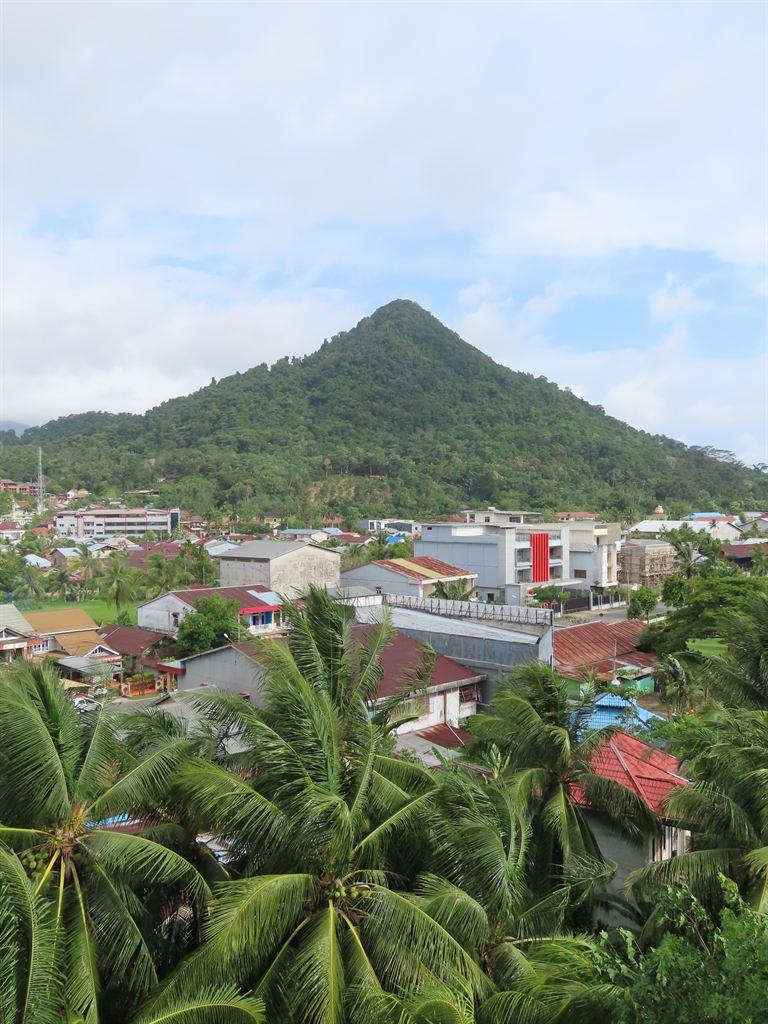 view2