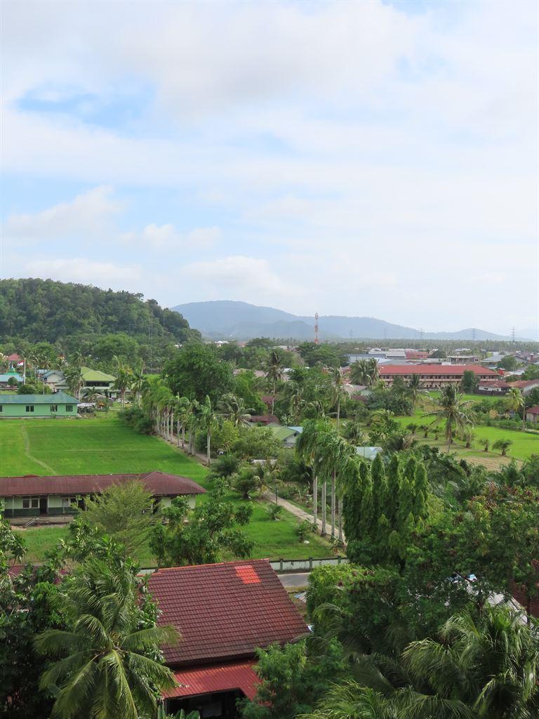 view3