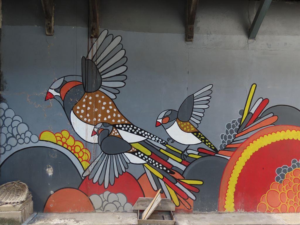 pigeons