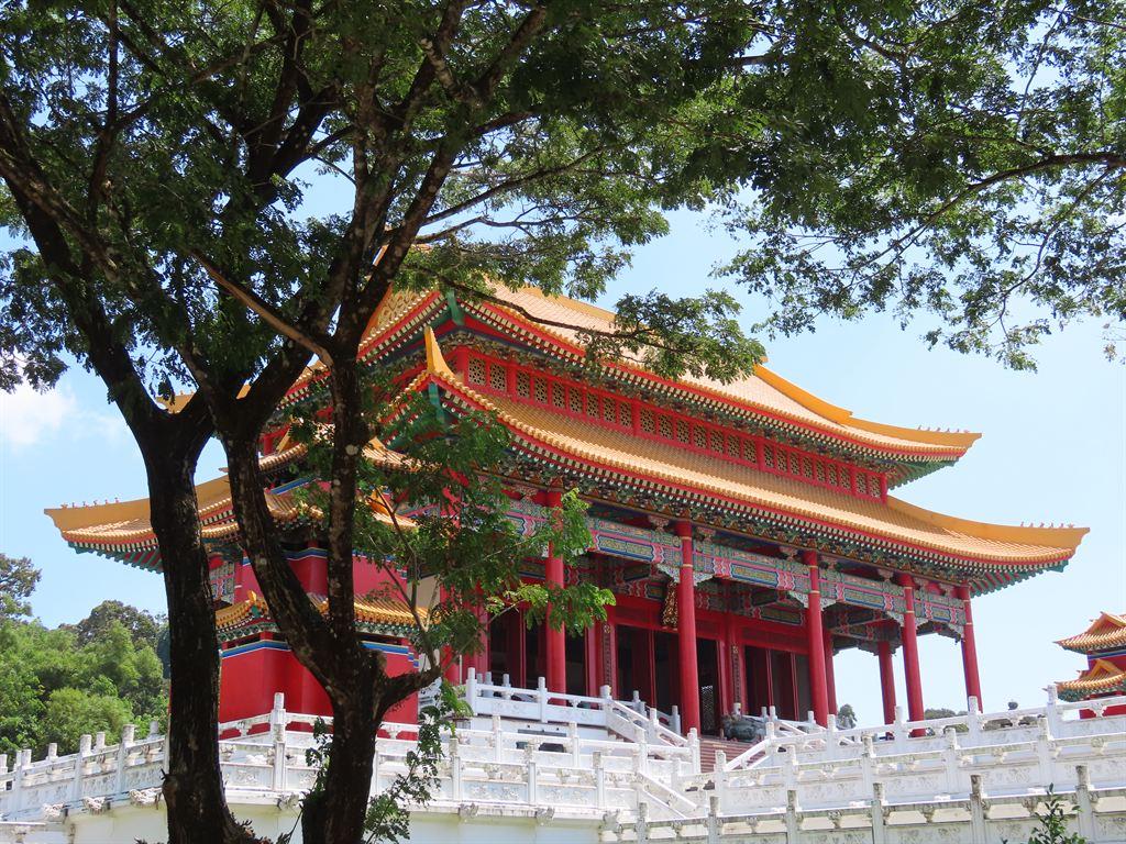 tree&temple