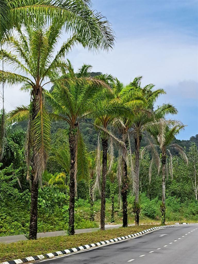 road