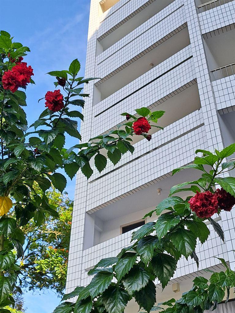 flowers&evergreen