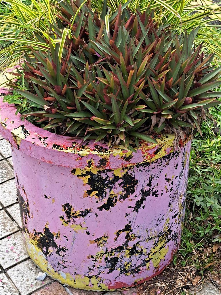 pot