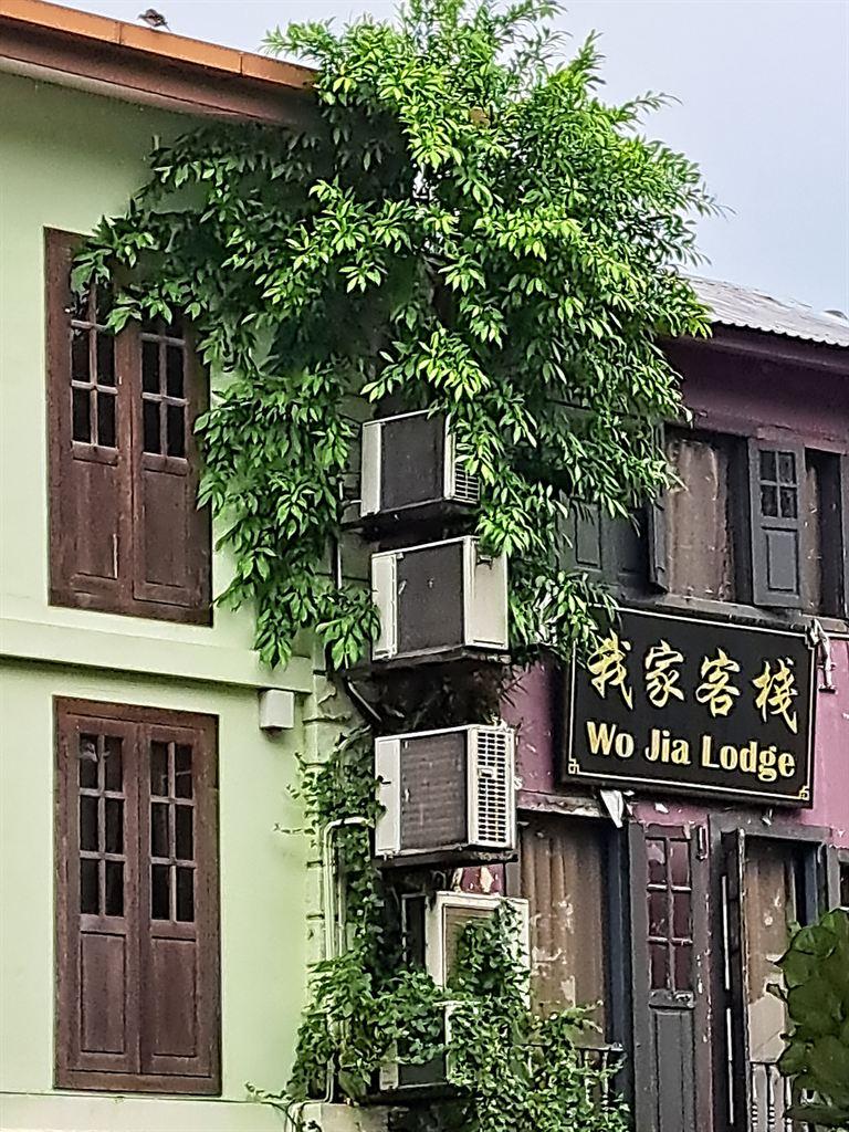 wojiatree