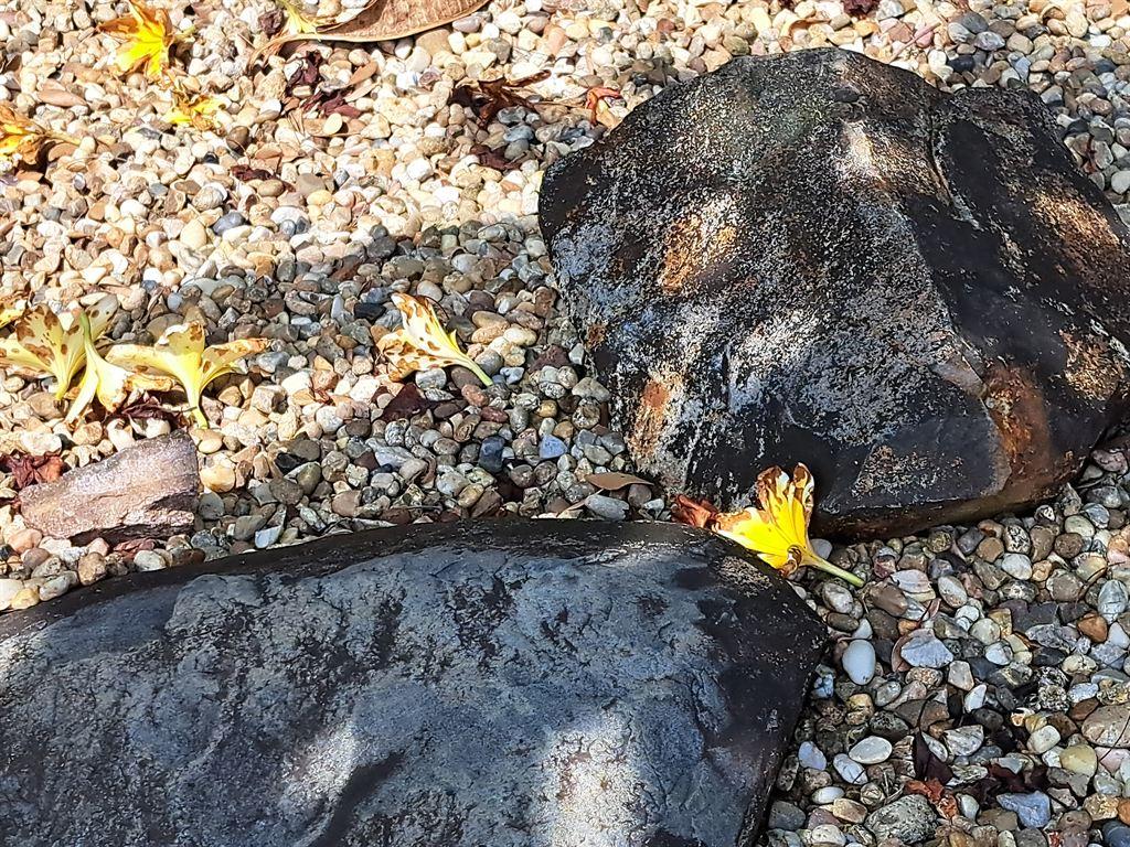 rocks&flowers