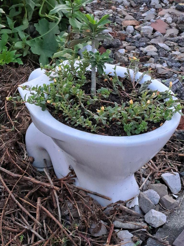 toilet