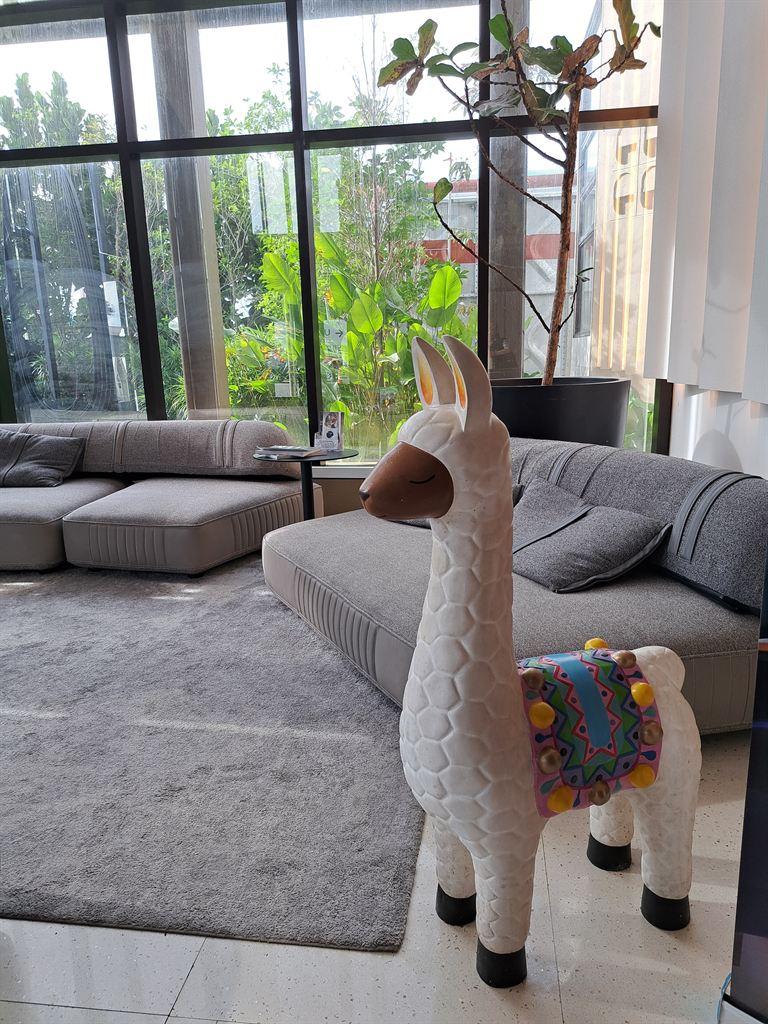 llama