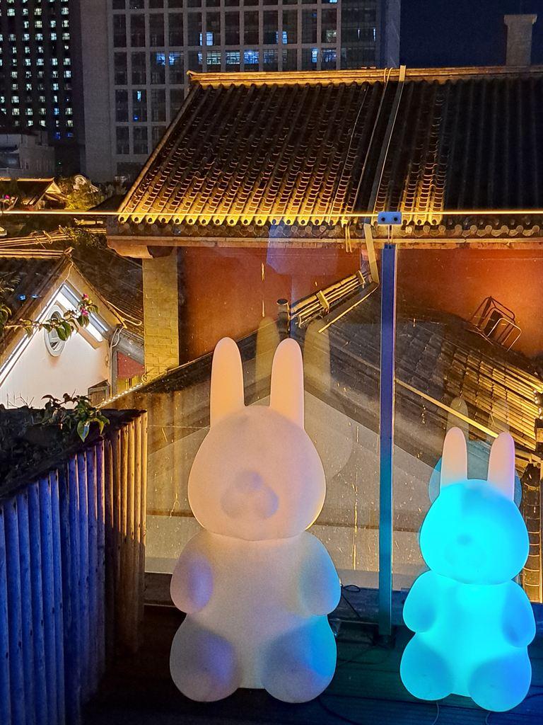 rabbits
