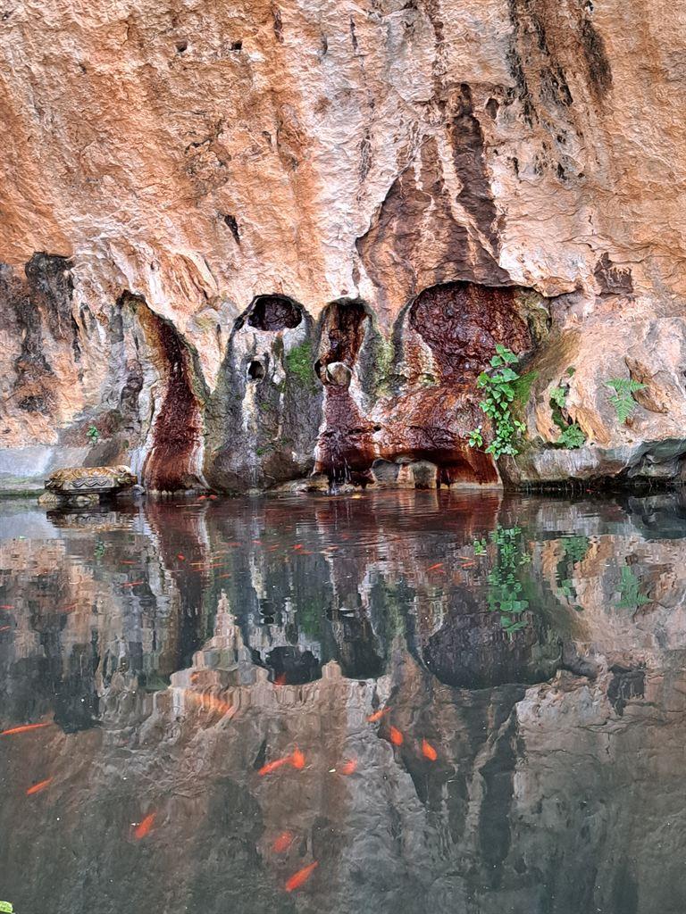 fishpond