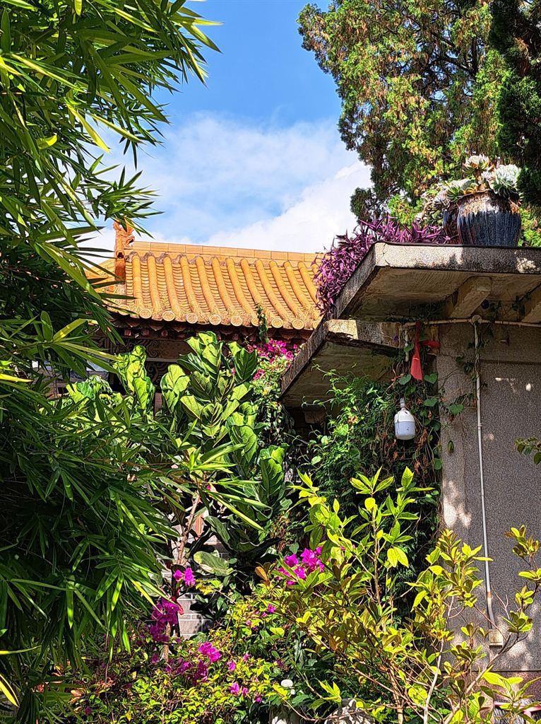 roof&flowers