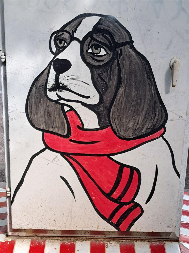 dog