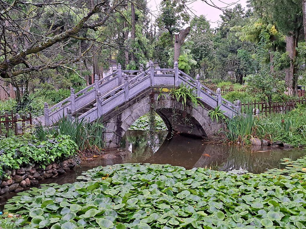 bridge