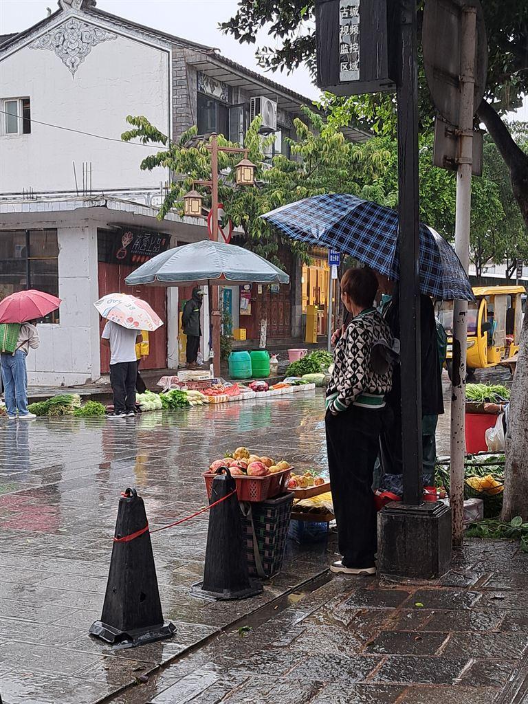 umbrella