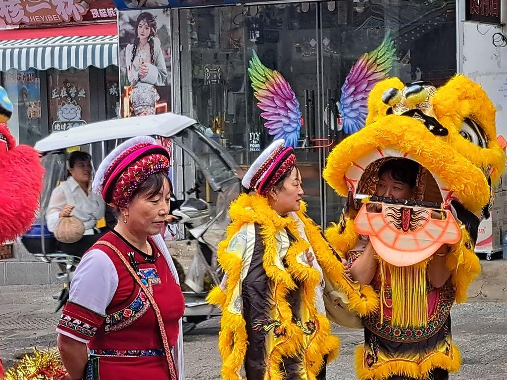 lion3