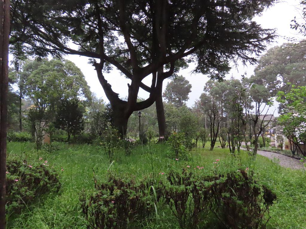 park