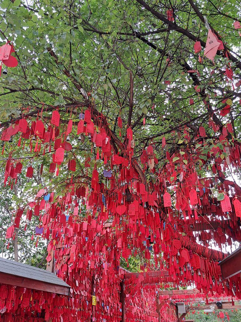 prayertree