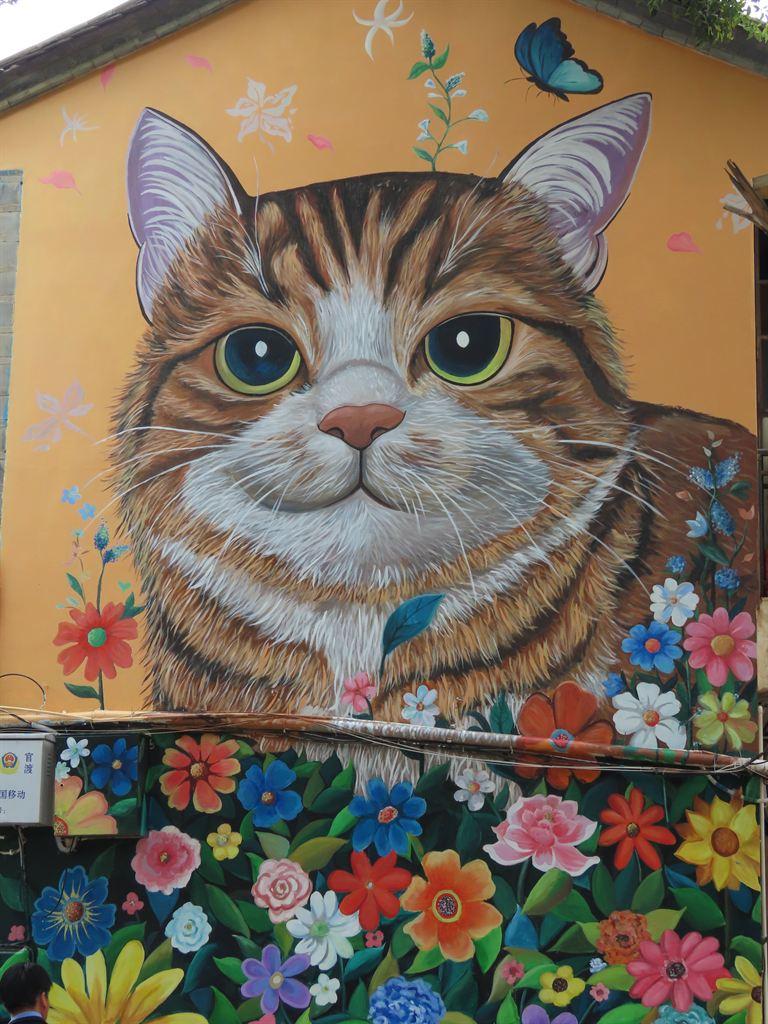 cat
