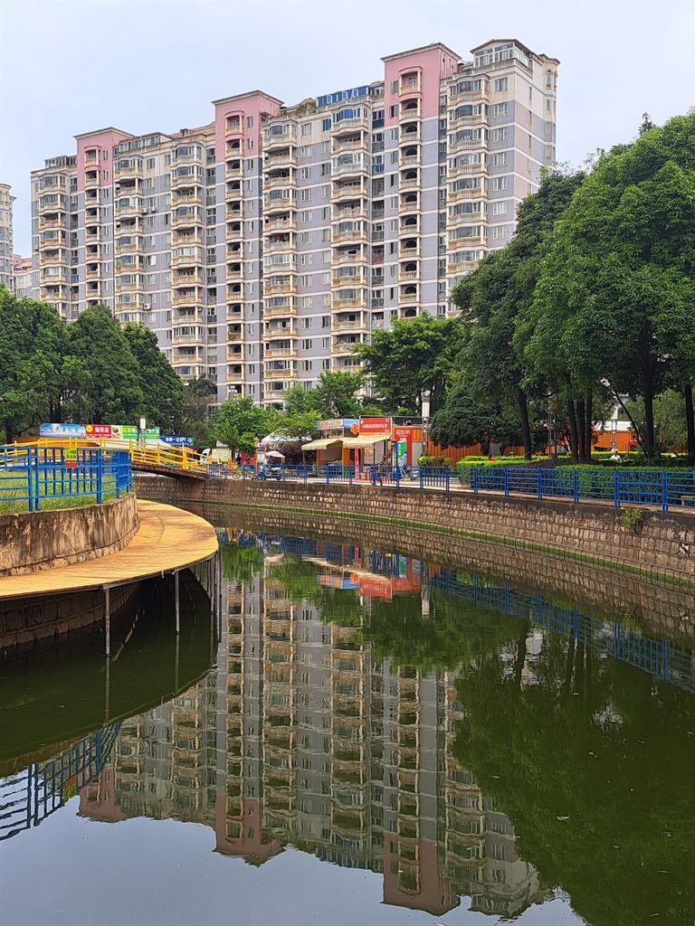 pond