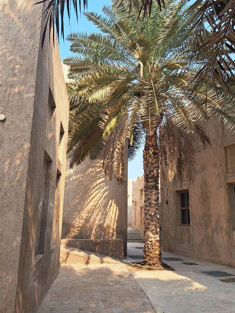 palm