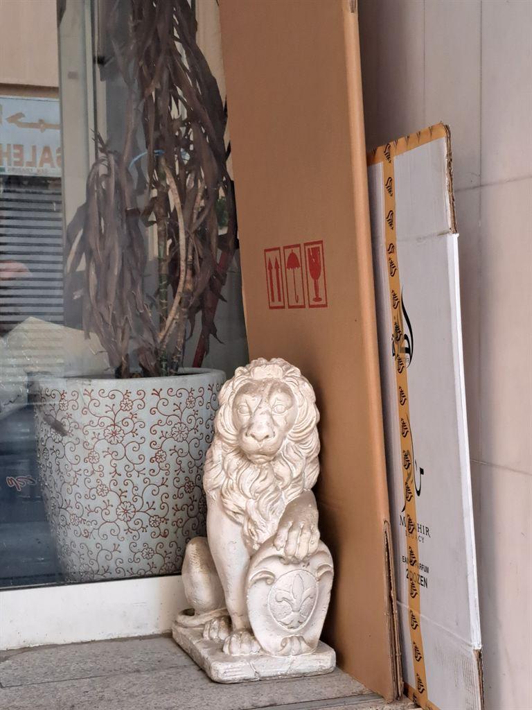 lion