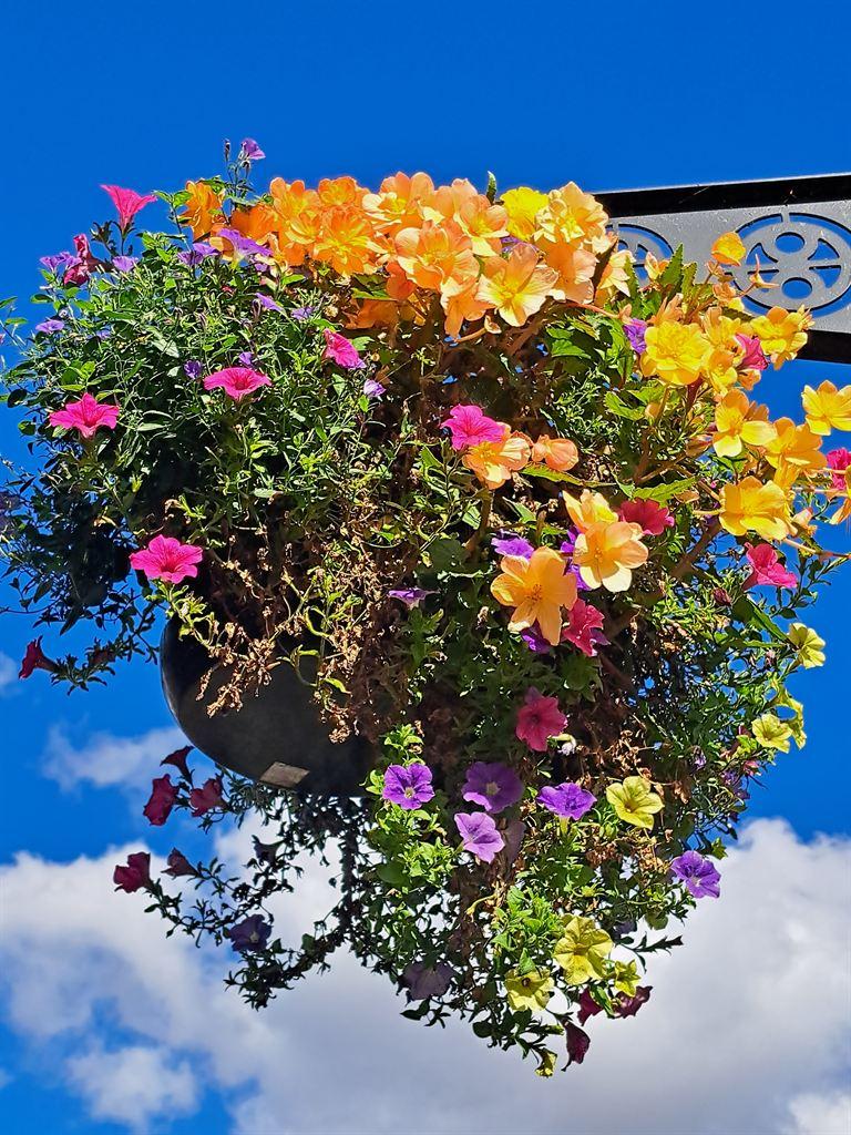 flowers1