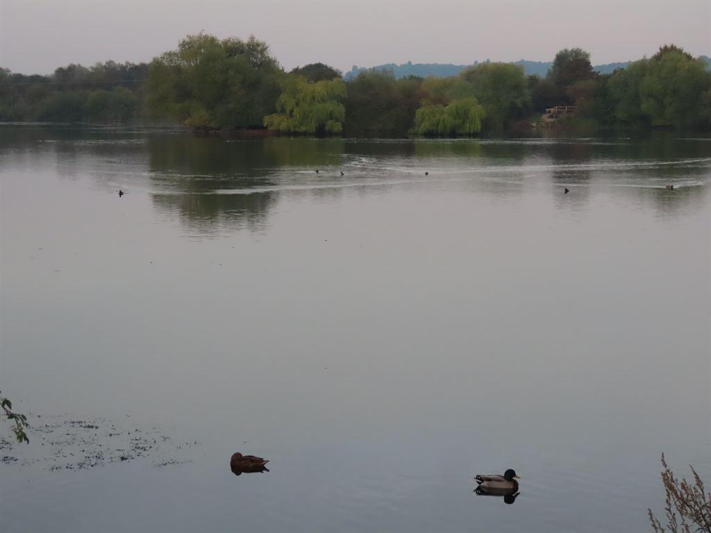 lake