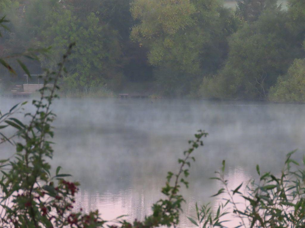 mist2