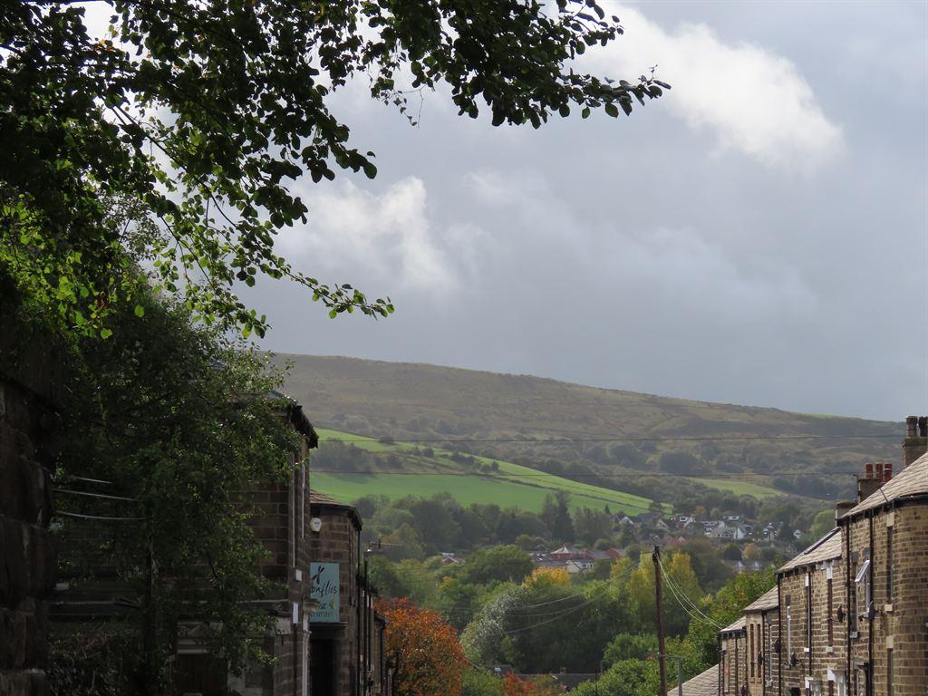 hills