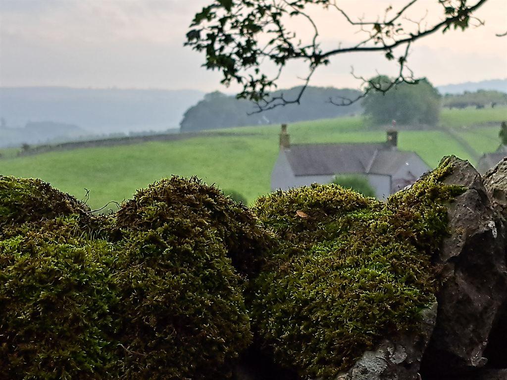 moss&cottage