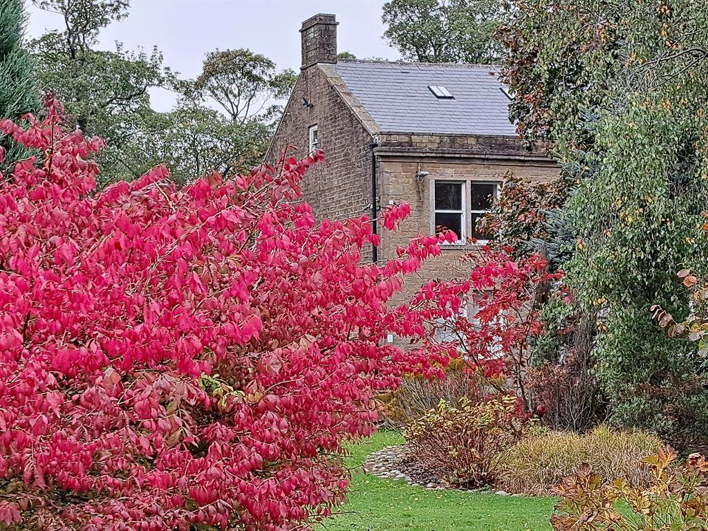 house&bush