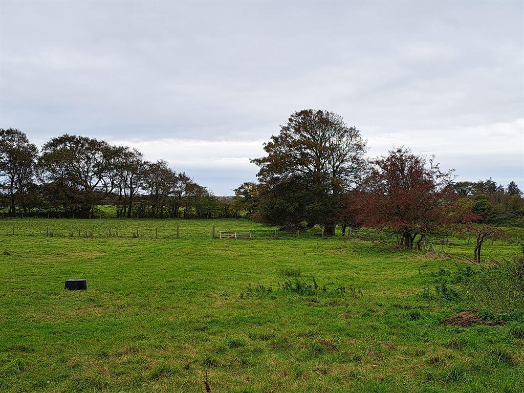 field