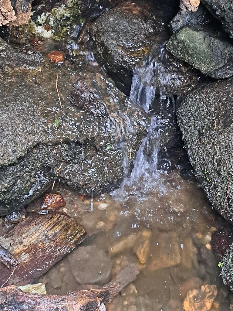 stream2