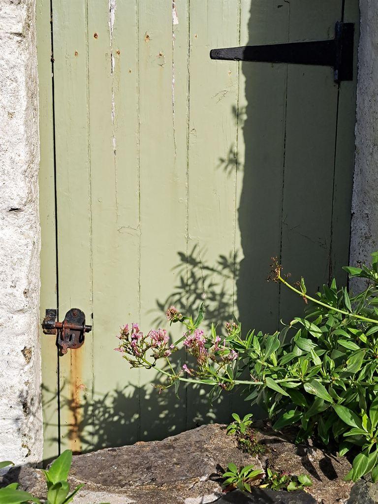 greendoor