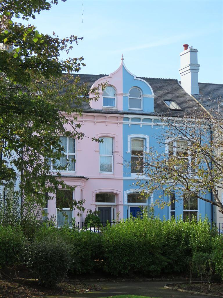 pink&blue